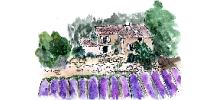grasse