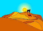 desert