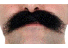 moustacho