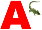 aligator